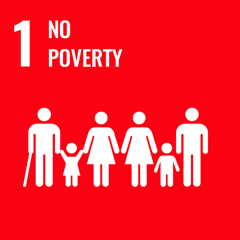 Sustainable Development Goal Reporting