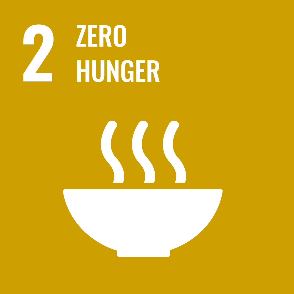 Sustainable Development Goal Reporting
