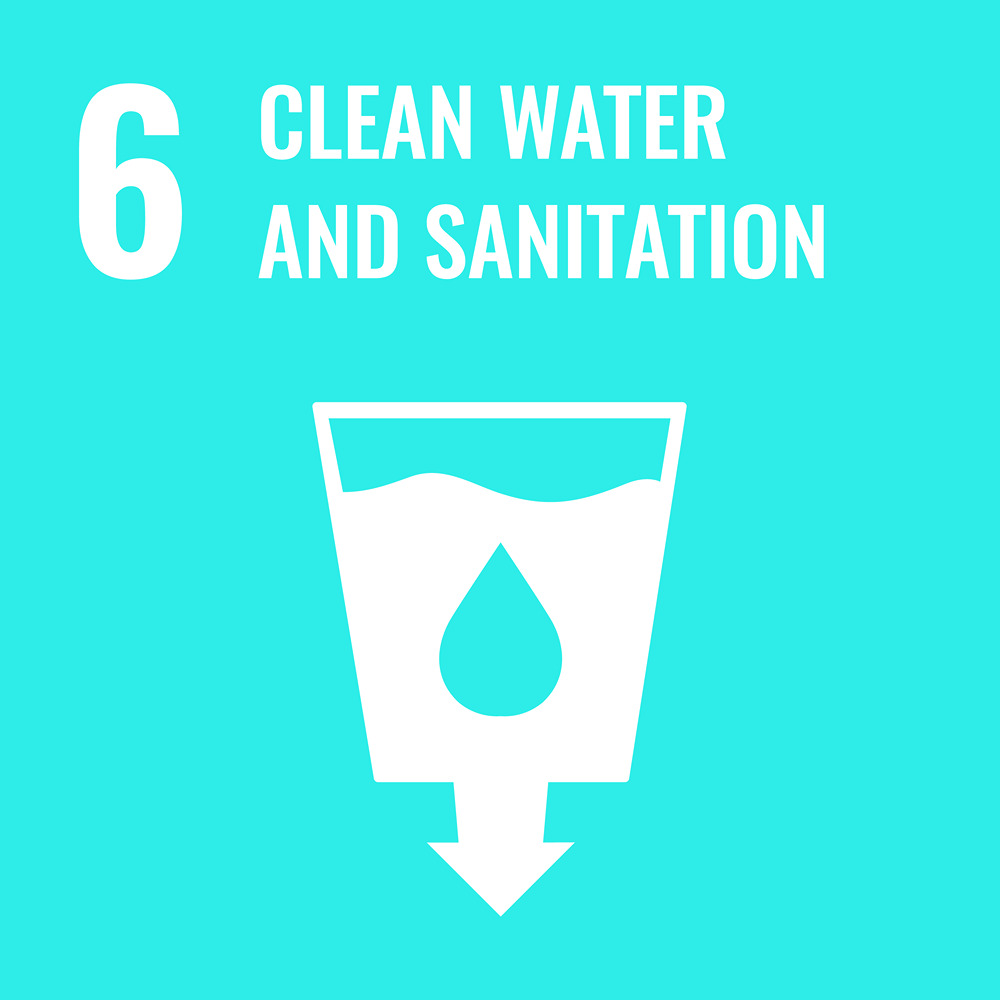Sustainable Development Goal Reporting