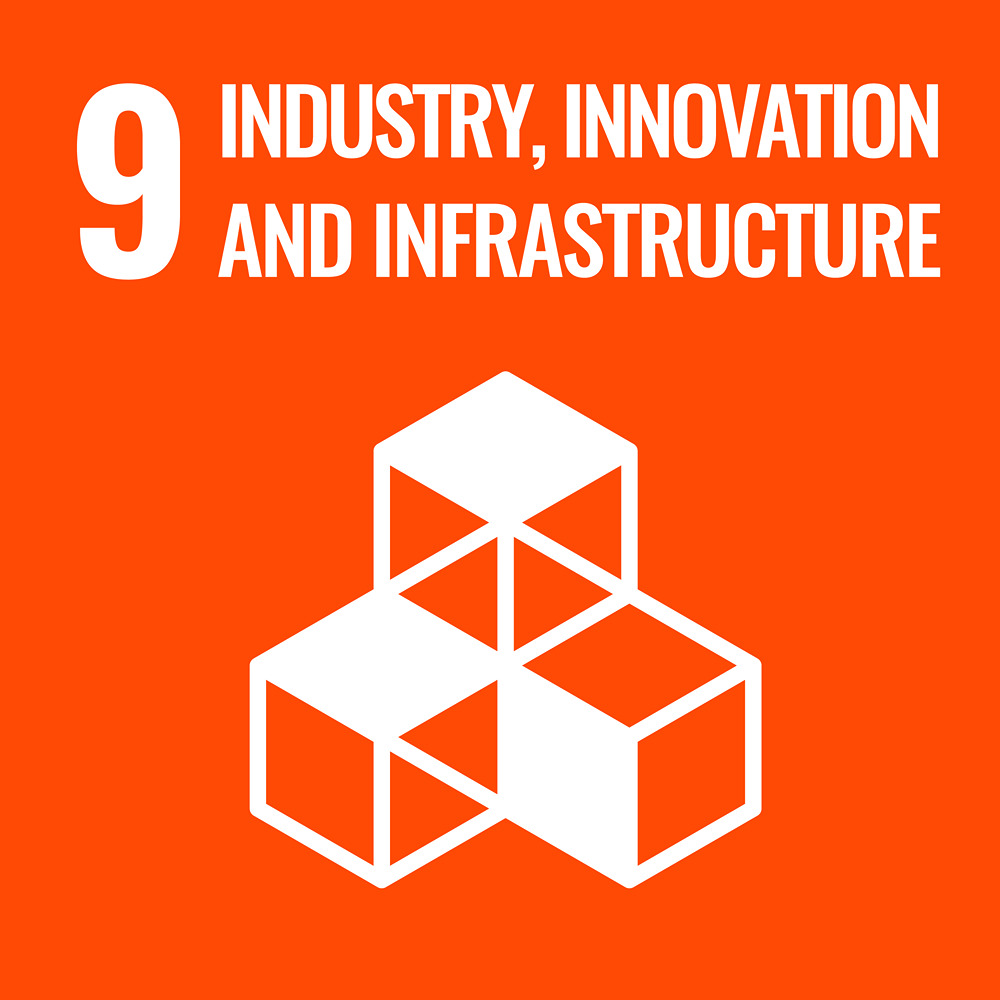 Sustainable Development Goal Reporting