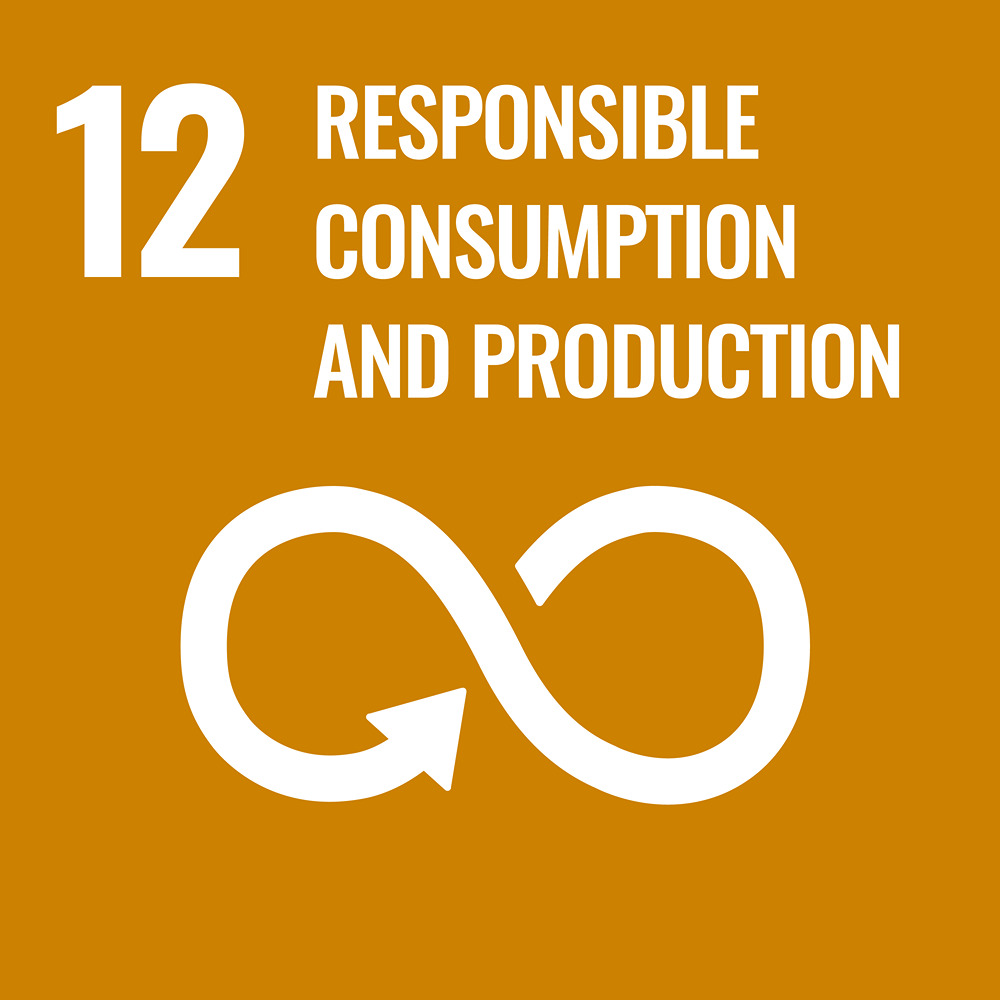Sustainable Development Goal Reporting