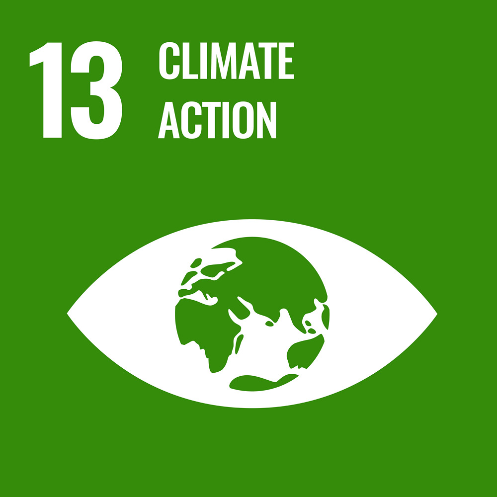 Sustainable Development Goal Reporting