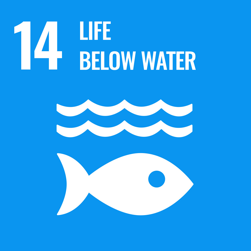 Sustainable Development Goal Reporting