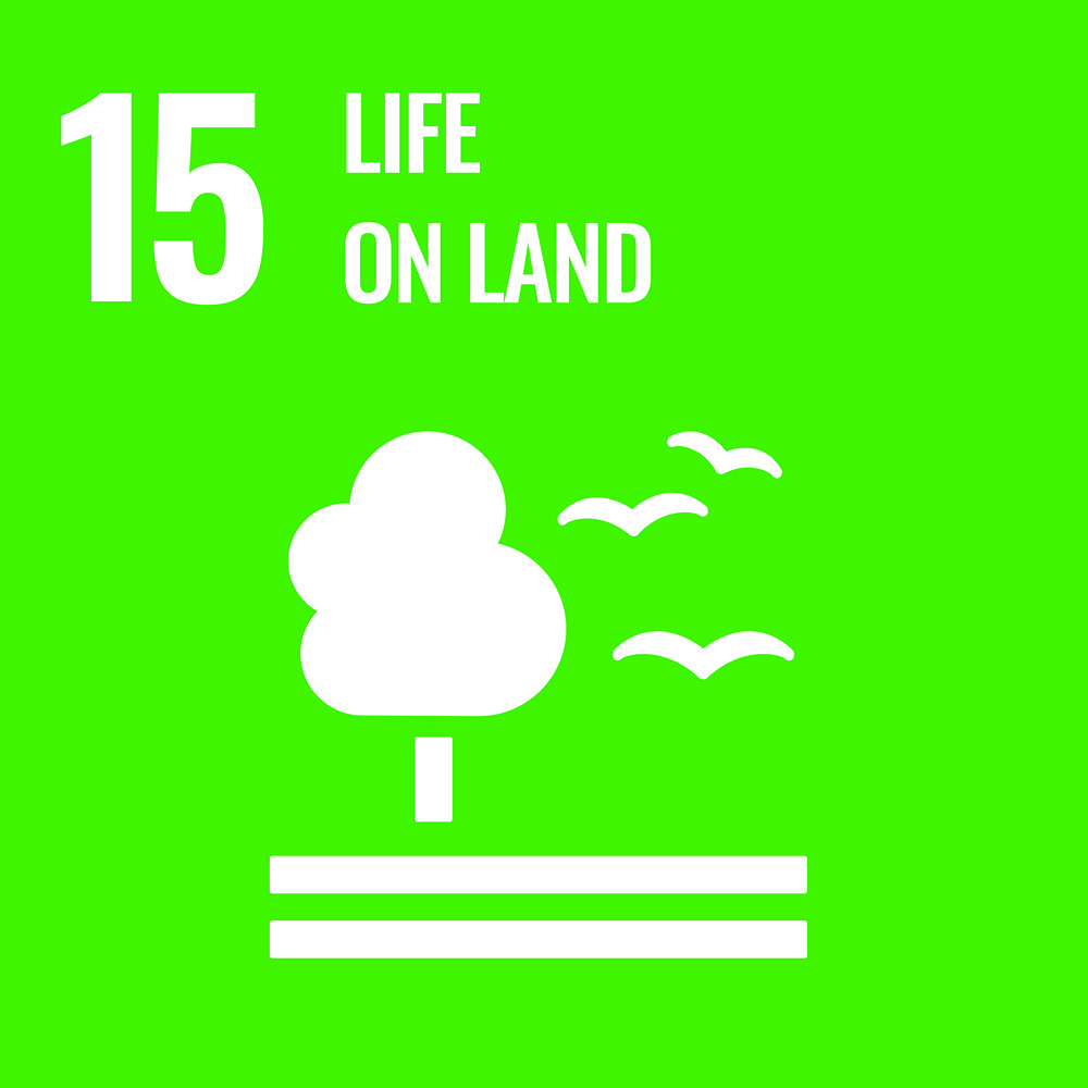 Sustainable Development Goal Reporting