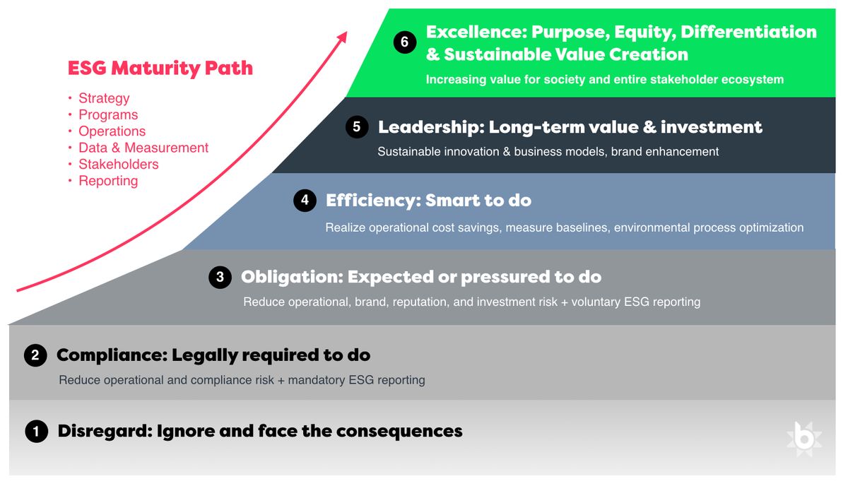 ESG Strategy and Reporting Maturity Path